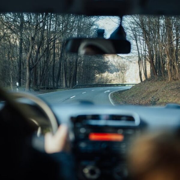Emergency Roadside Expenses
