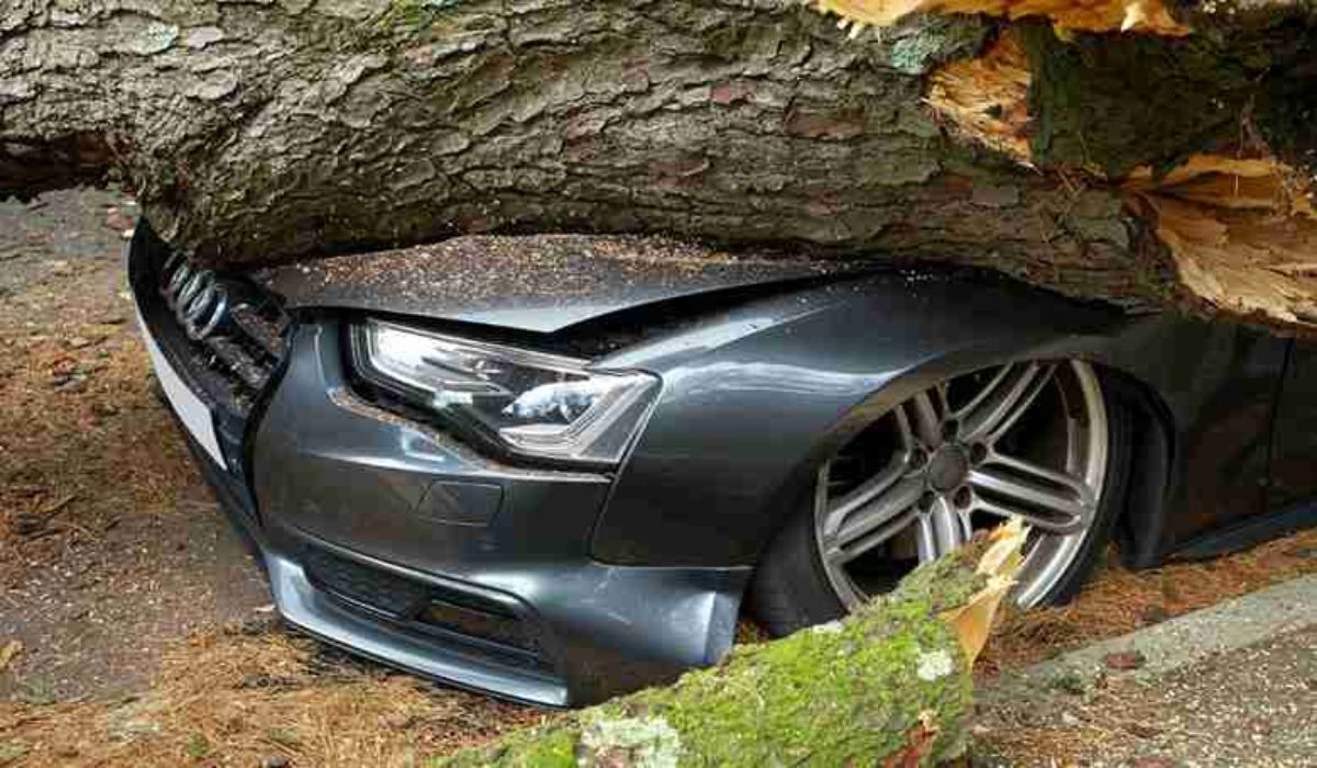 A Car Crushed by a Broken Tree