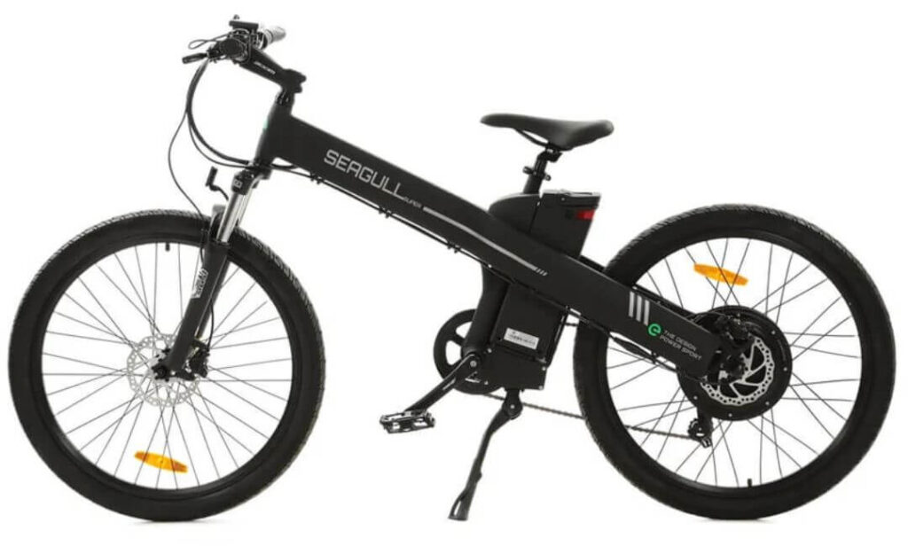 ECOTRIC Electric Dirt Bike