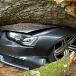 Why Legal Support Matters After Road Accidents