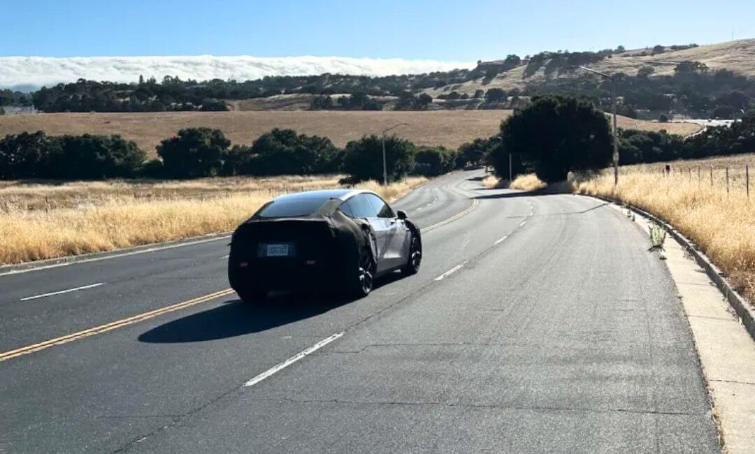 Tesla Model Y Performance prototypes spotted 2